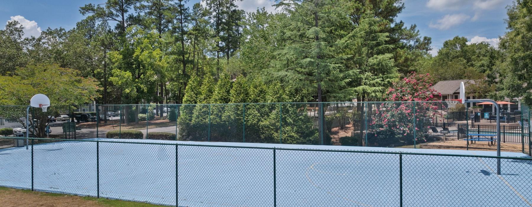 a tennis court surrounded by trees